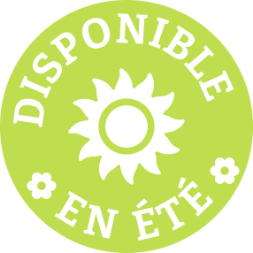 Seasonal Badge